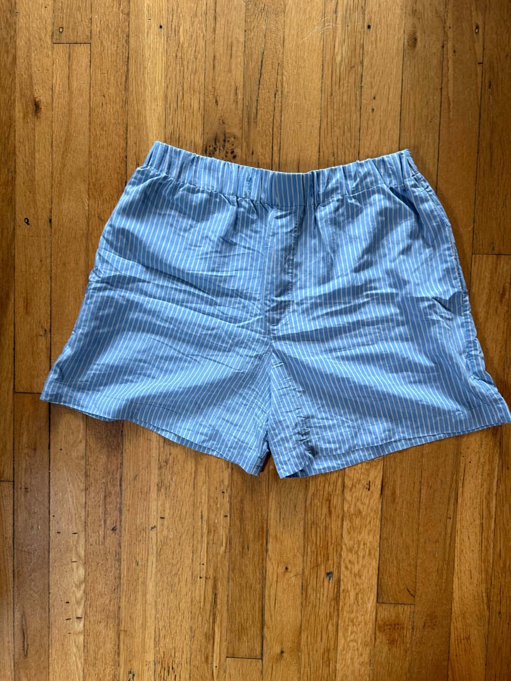 Zara Light Blue & White Pinstripe Women’s Shorts